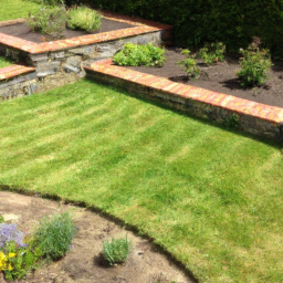 Gazon de Jardin : découvrez les différentes variétés de gazon pour choisir celle qui convient le mieux à votre jardin Les Abymes